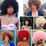 Short Afro Curly Synthetic Wigs