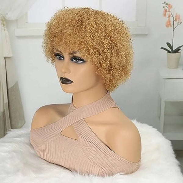 Short Afro Human Hair Kinky Curly Wig